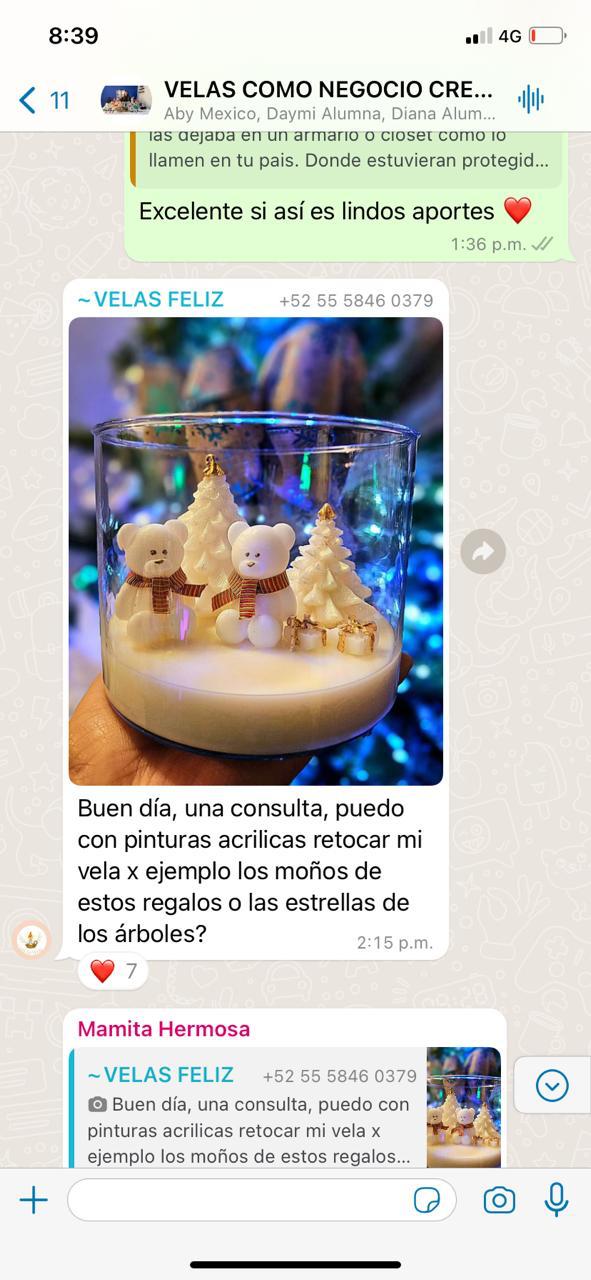 Chat de Whatsapp de Alumna de Velas 2